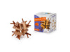Recent Toys RT5142 Brain Puzzle