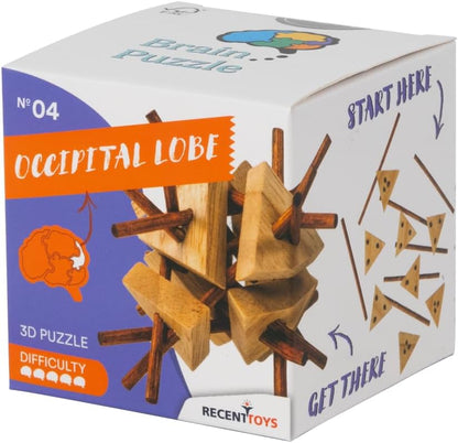 Recent Toys RT5142 Brain Puzzle