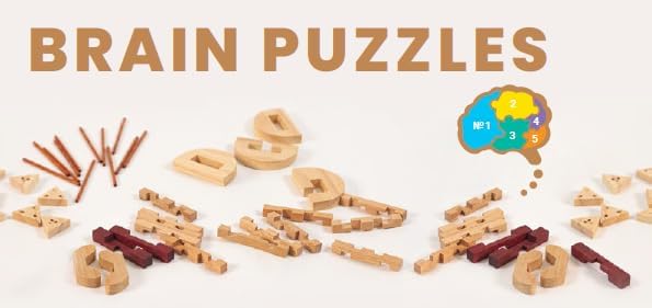 Recent Toys RT5142 Brain Puzzle
