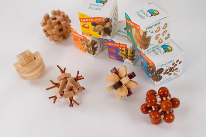Recent Toys RT5142 Brain Puzzle