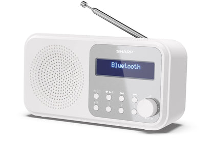 Sharp - Tokyo Portable Digital And Fm Radio