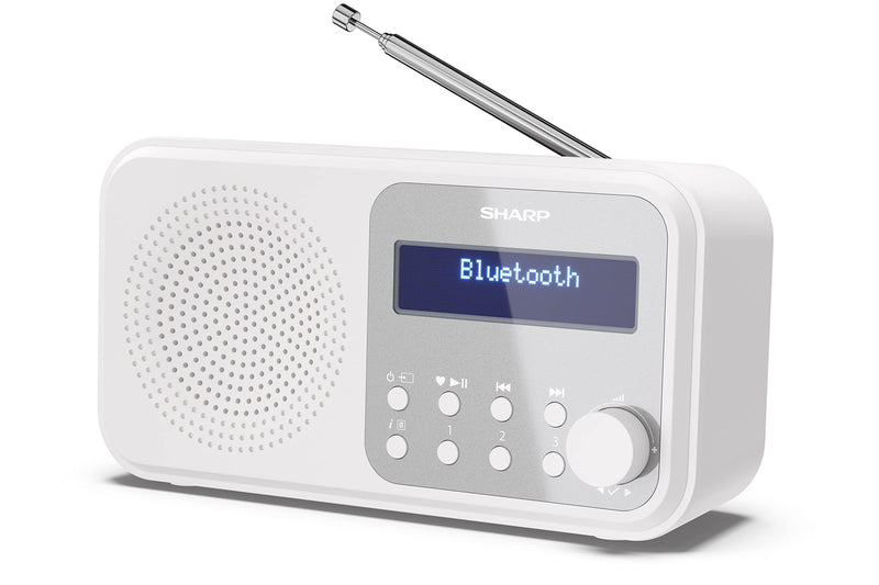 Sharp - Tokyo Portable Digital And Fm Radio