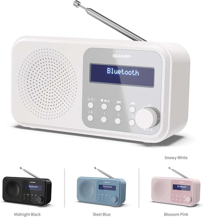 Sharp - Tokyo Portable Digital And Fm Radio