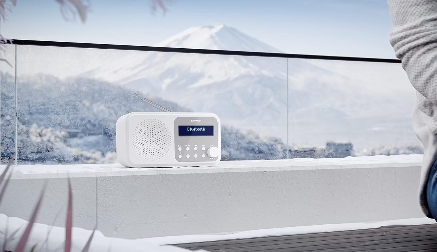 Sharp - Tokyo Portable Digital And Fm Radio