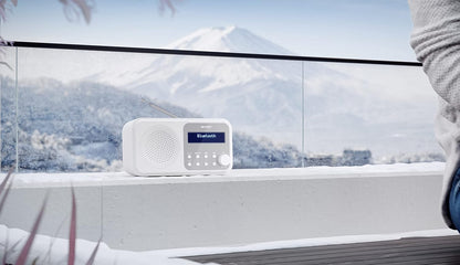 Sharp - Tokyo Portable Digital And Fm Radio