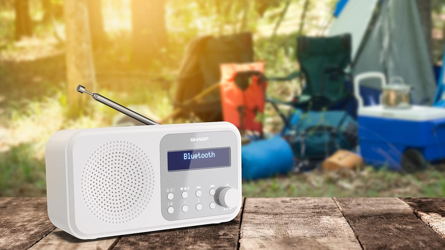 Sharp - Tokyo Portable Digital And Fm Radio