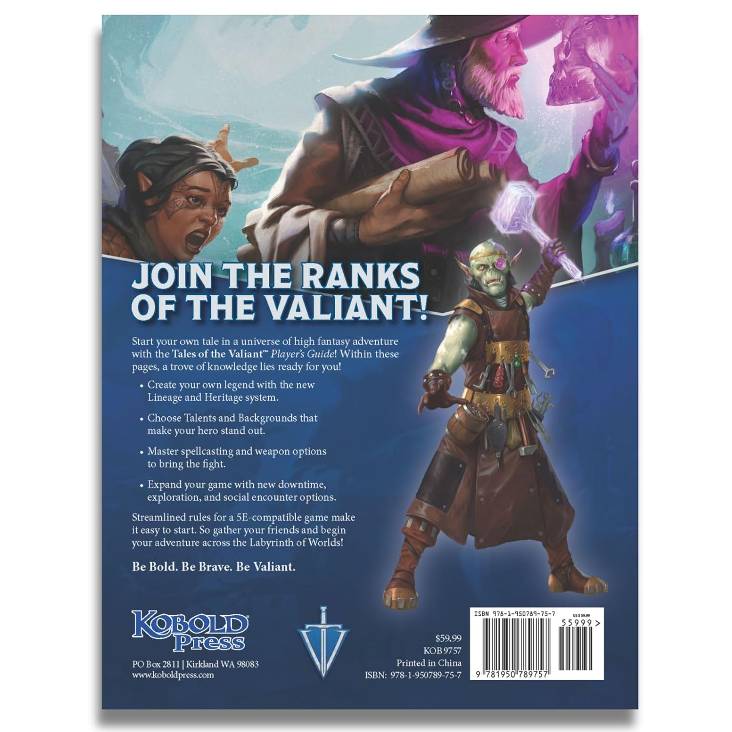 Tales Of The Valiant: Player`S Guide Le