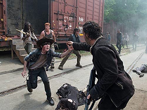 The Walking Dead Saison 5 (Region 2)