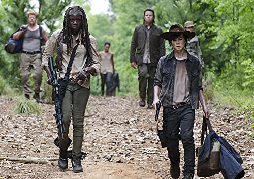 The Walking Dead Saison 5 (Region 2)