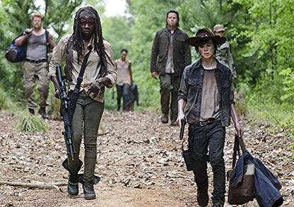 The Walking Dead Saison 5 (Region 2)