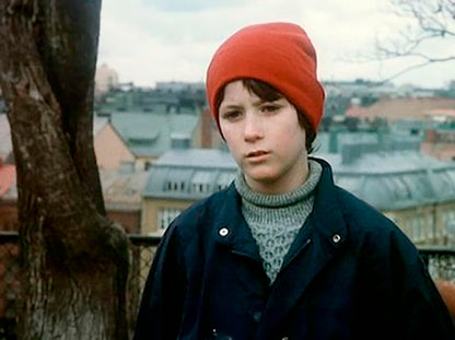 Mio, mein Mio (1987) (Filmjuwelen / DEFA-Märchen