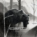 Fabled Lore/Hidden Stream
