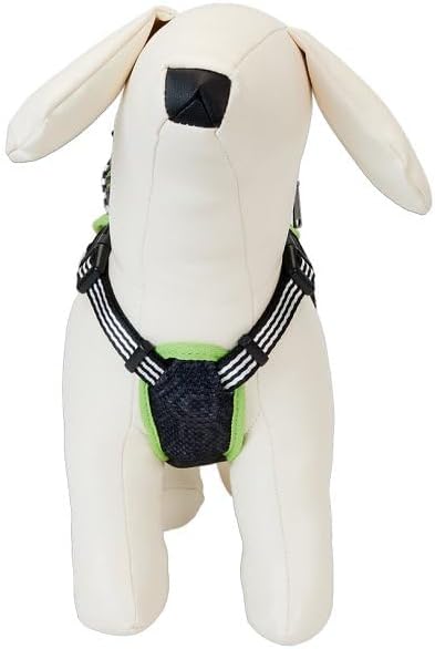 Beetlejuice by Loungefly Hundegeschirr Mini Backpa