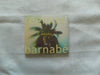 Regional Barnabe