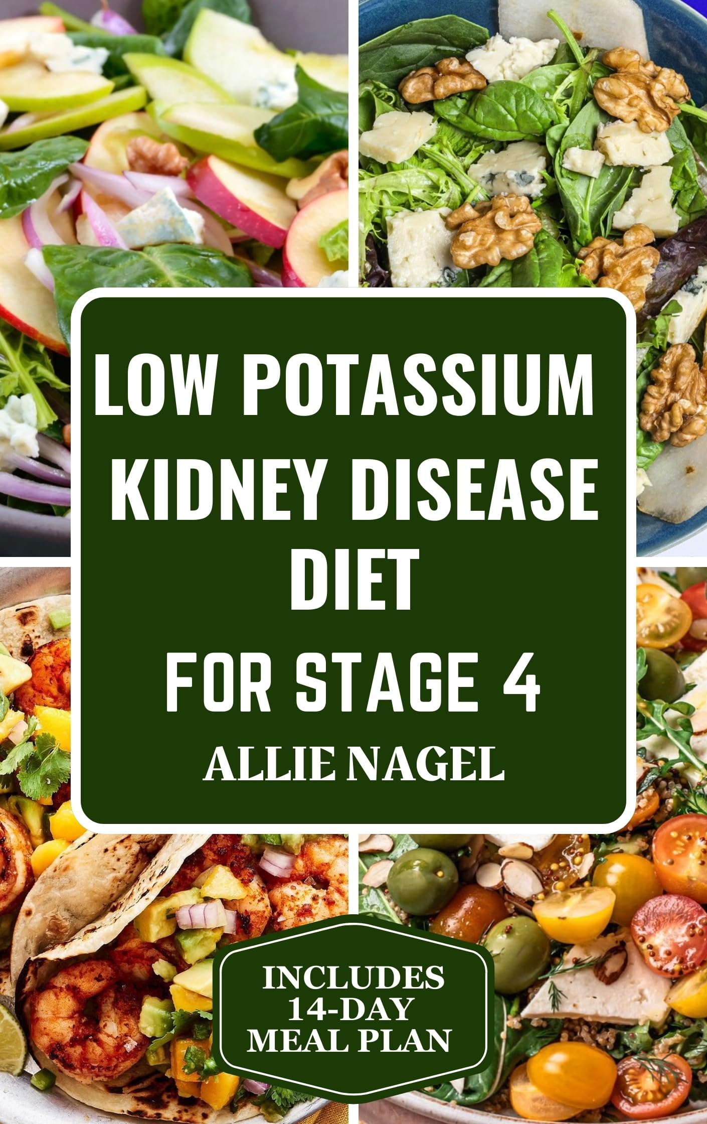 Low Potassium Kidney Disease Diet for Stage 4