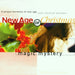 New Age Of Christmas