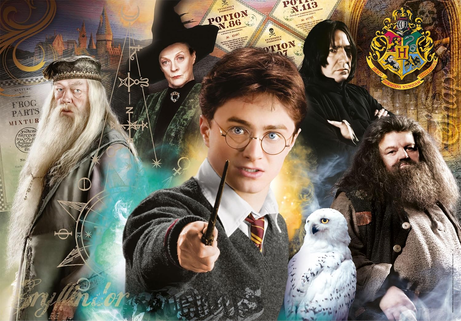 Clementoni 35534 Harry Potter Jigsaw 500 Pieces-Poster Included, Puzzle for Adults 14-99 Years, Gift for Men/Women, Hogwarts, Made in Italy, Multicolor