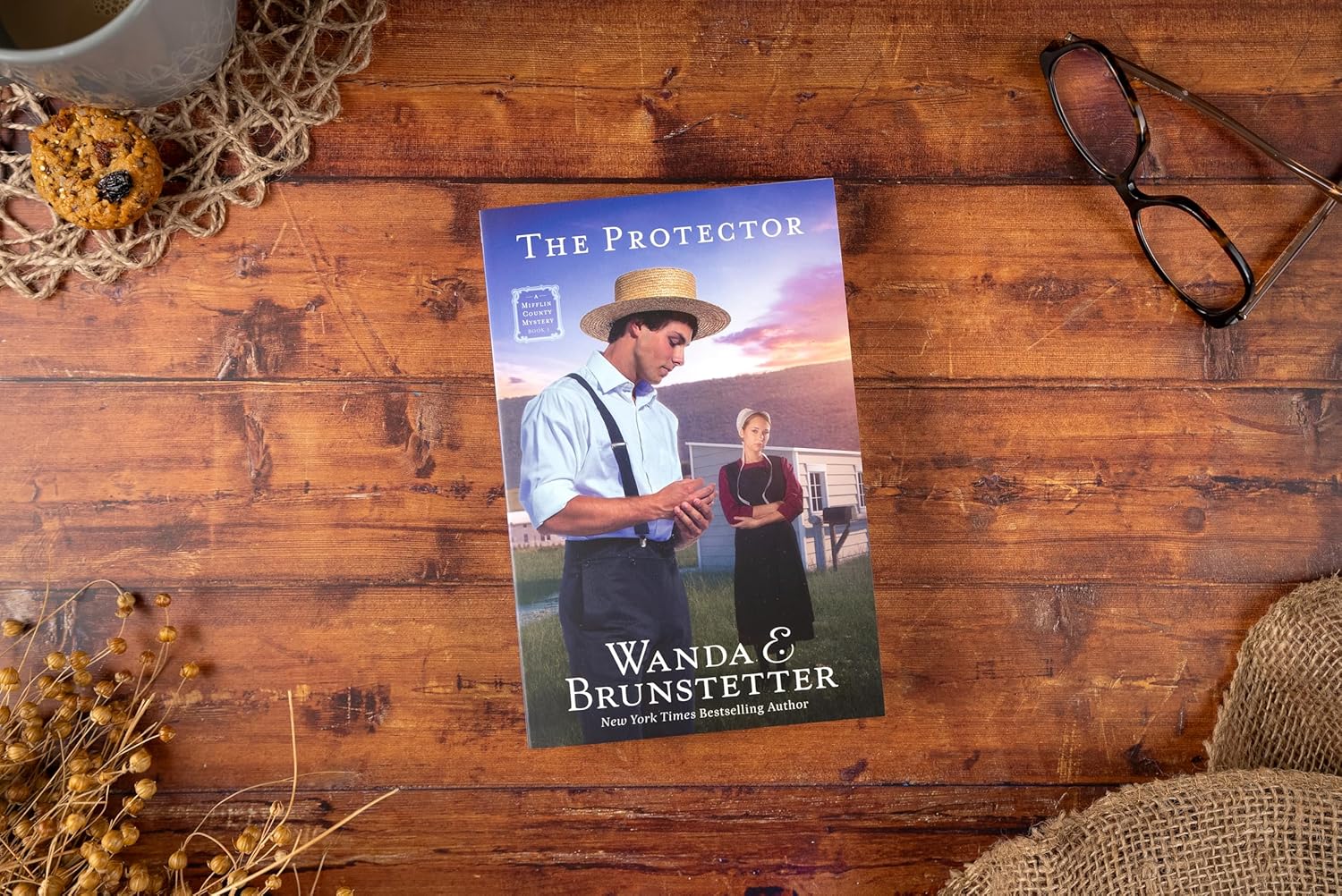 The Protector: A Mifflin County Mystery - Book 1 Volume 1 (Mifflin County Mysteries, 1