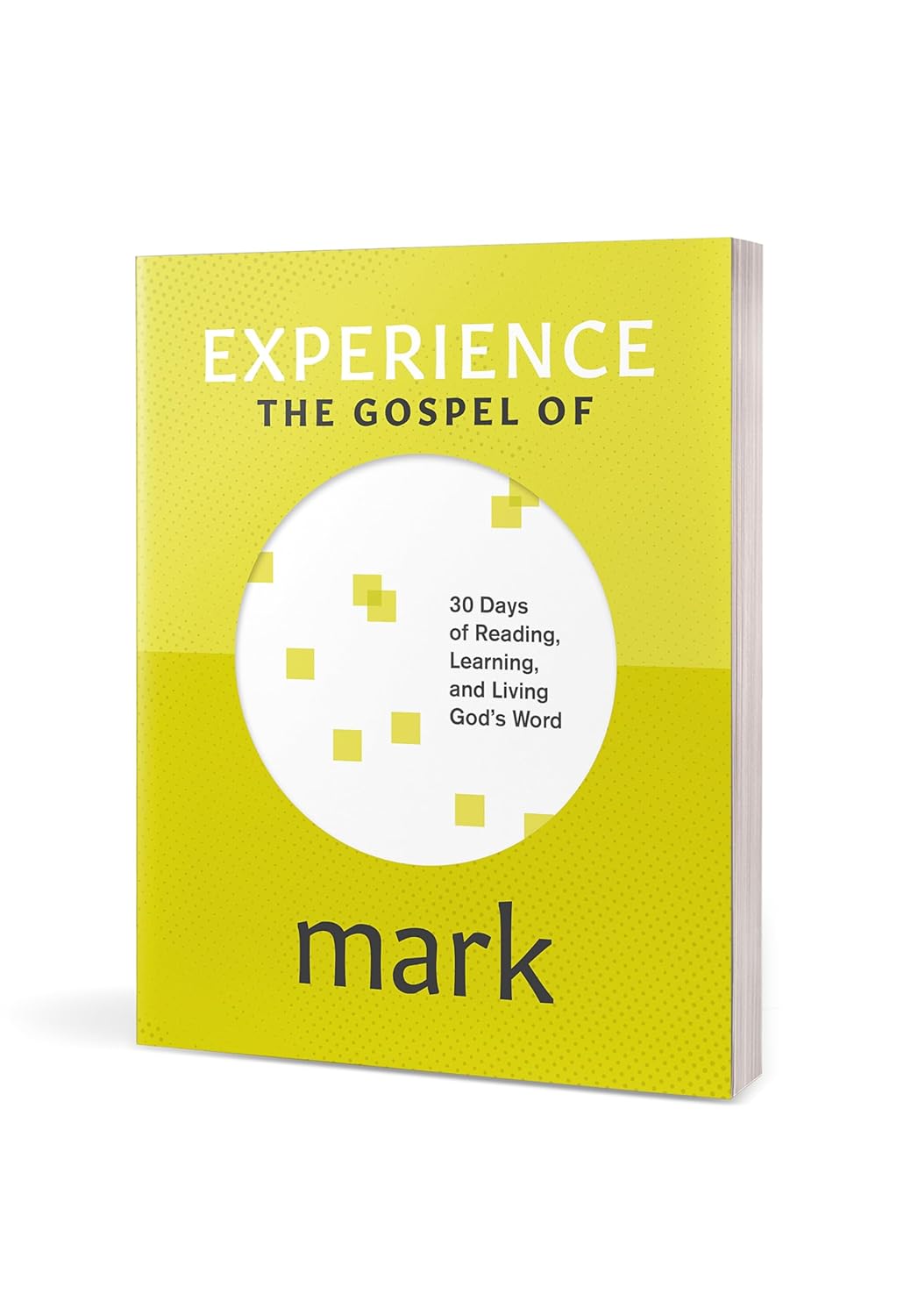 Experience Scripture