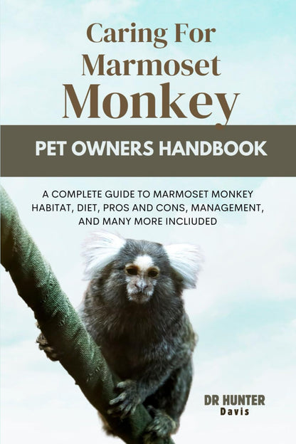 Caring for Marmoset Monkey