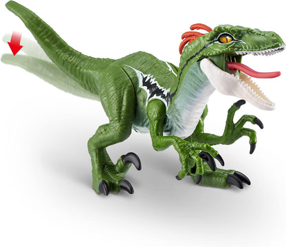 ROBO ALIVE Raptor Dino Action de ZURU (Raptor