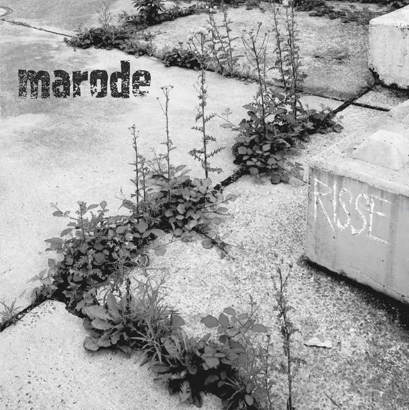 Risse (+ Booklet