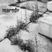 Risse (+ Booklet