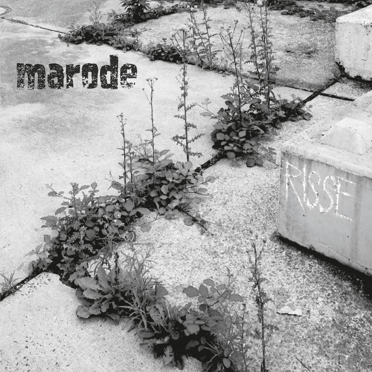 Risse (+ Booklet