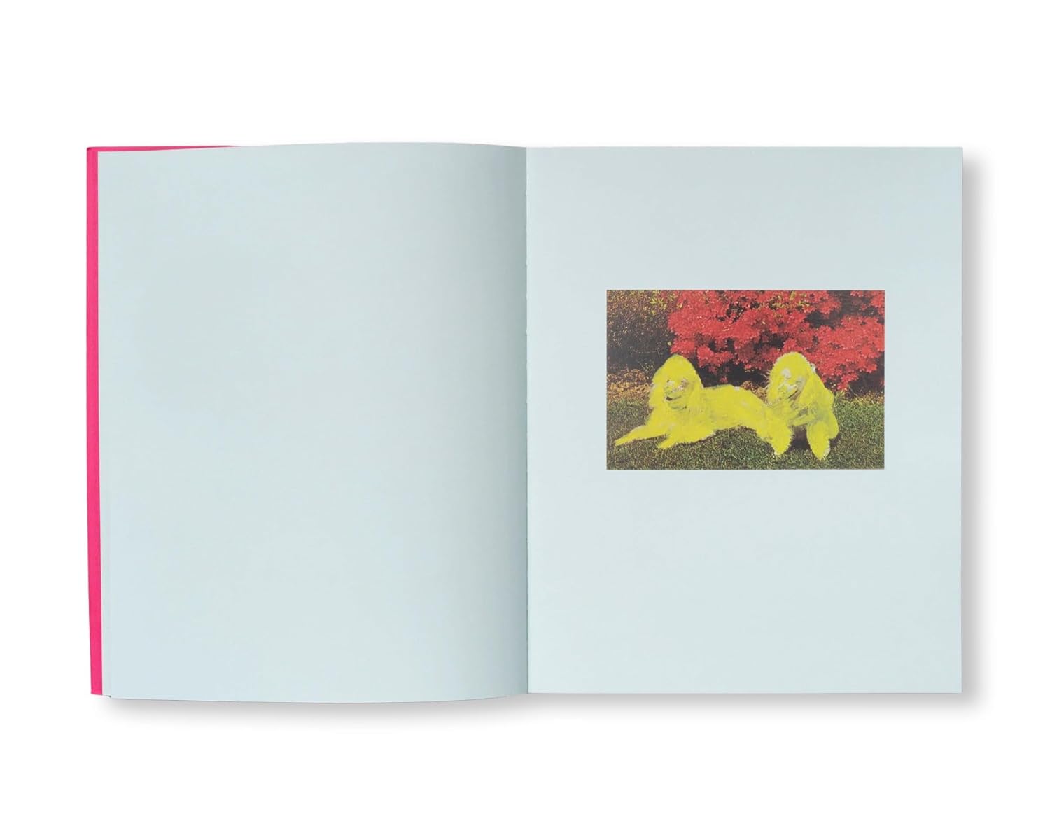 PAINTING PHOTOGRAPHS