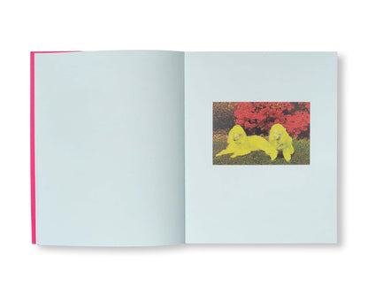 PAINTING PHOTOGRAPHS