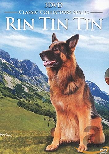 Rin Tin Tin - Fangs of the Wild, Skull and Crown , The Test , Caryl of the Mountains, Return of rin Tin Tin, Vengeance of Rannah --EU Import englische tonspur- DVD Box