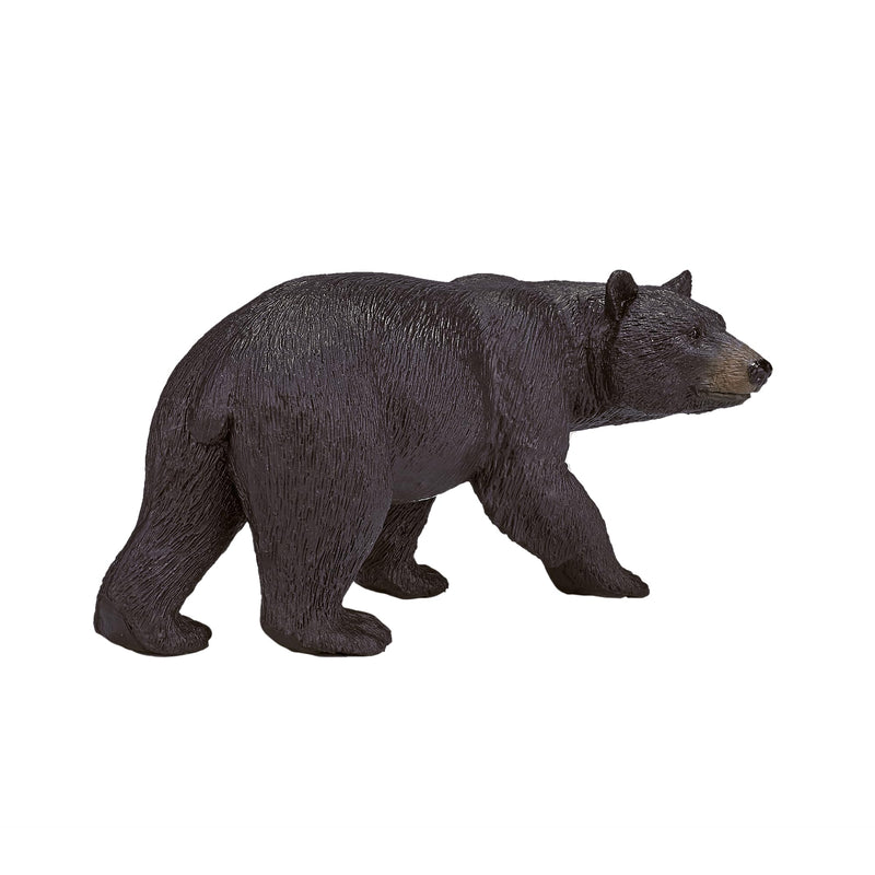 Science4you - Amerikanischer schwarzer Bär aus Kunststoff, Größe L (750.0