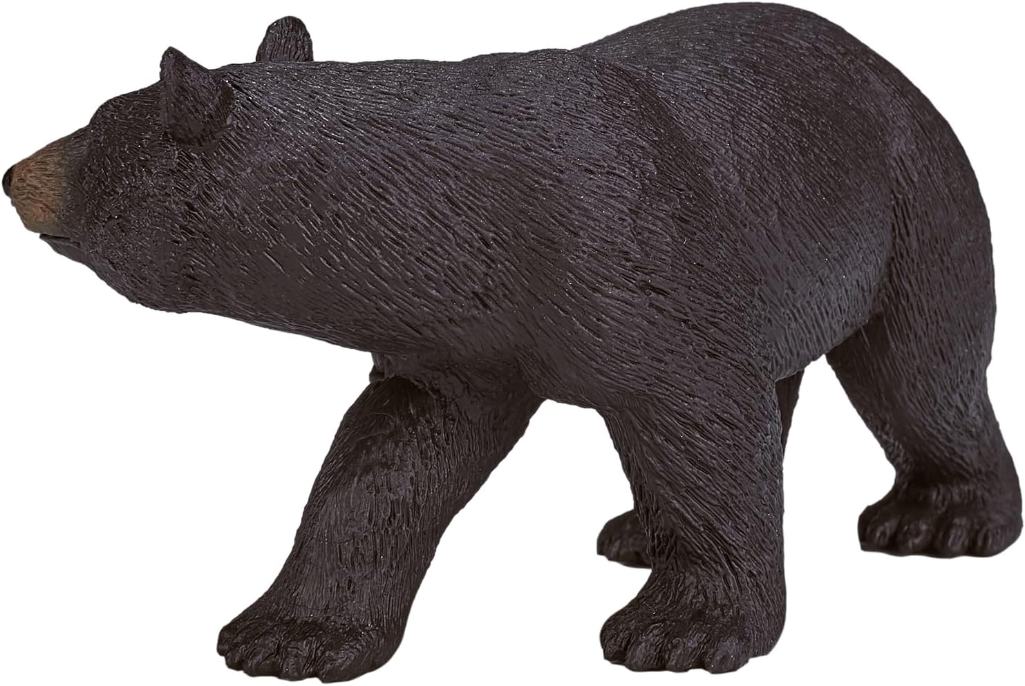 Science4you - Amerikanischer schwarzer Bär aus Kunststoff, Größe L (750.0