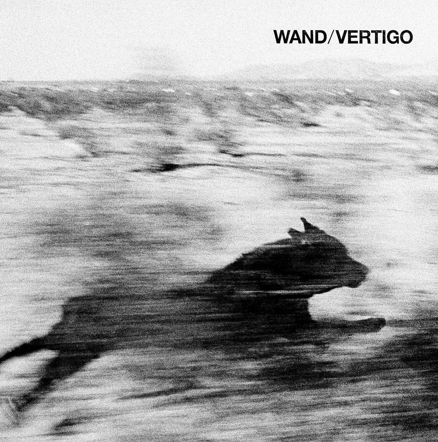 Vertigo