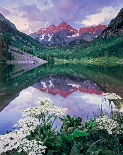 Sierra Club Engagement Calendar 2025