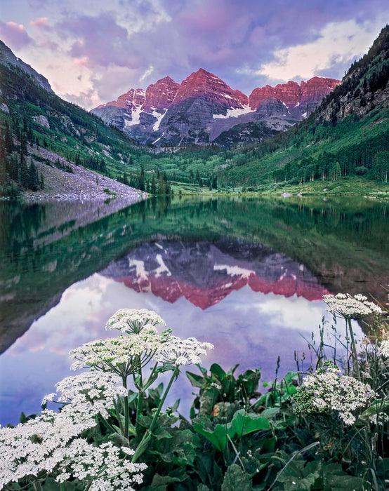 Sierra Club Engagement Calendar 2025