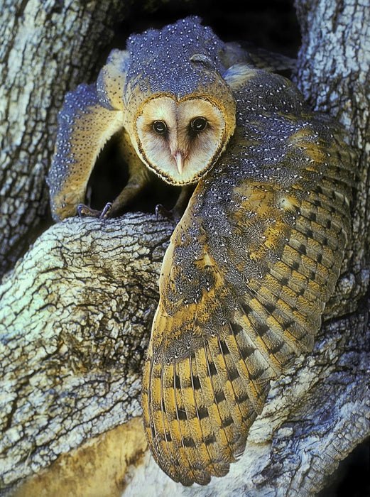 Sierra Club Engagement Calendar 2025