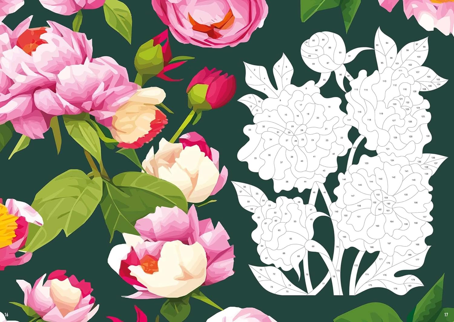 Botanicals