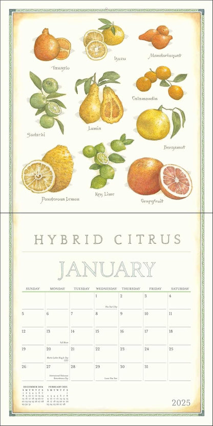 Farmer's Market 2025 Wall Calendar