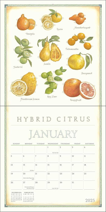 Farmer's Market 2025 Wall Calendar