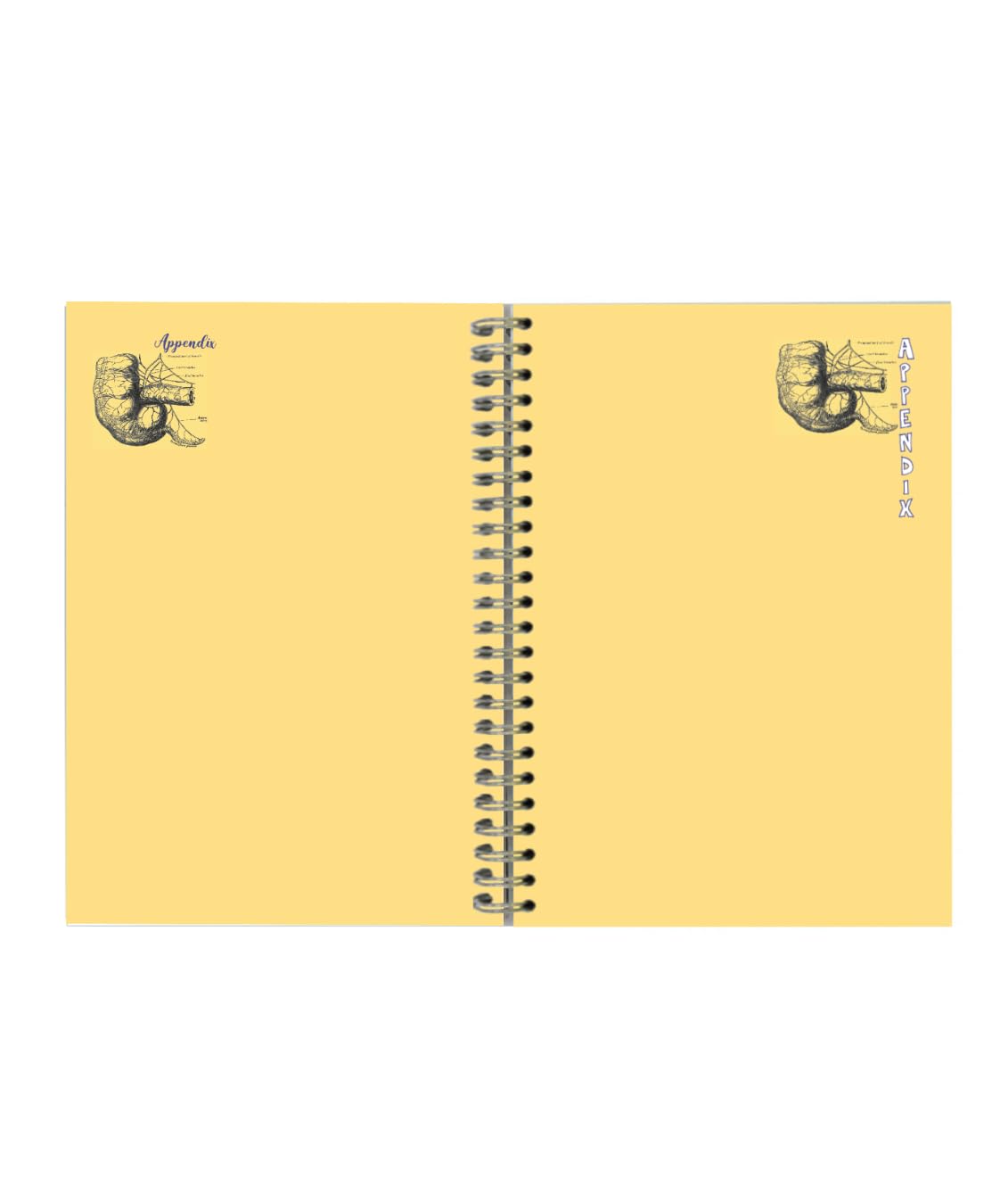 The Dodo Pad A5 Diary 2025 - Calendar Year Week to View Diary