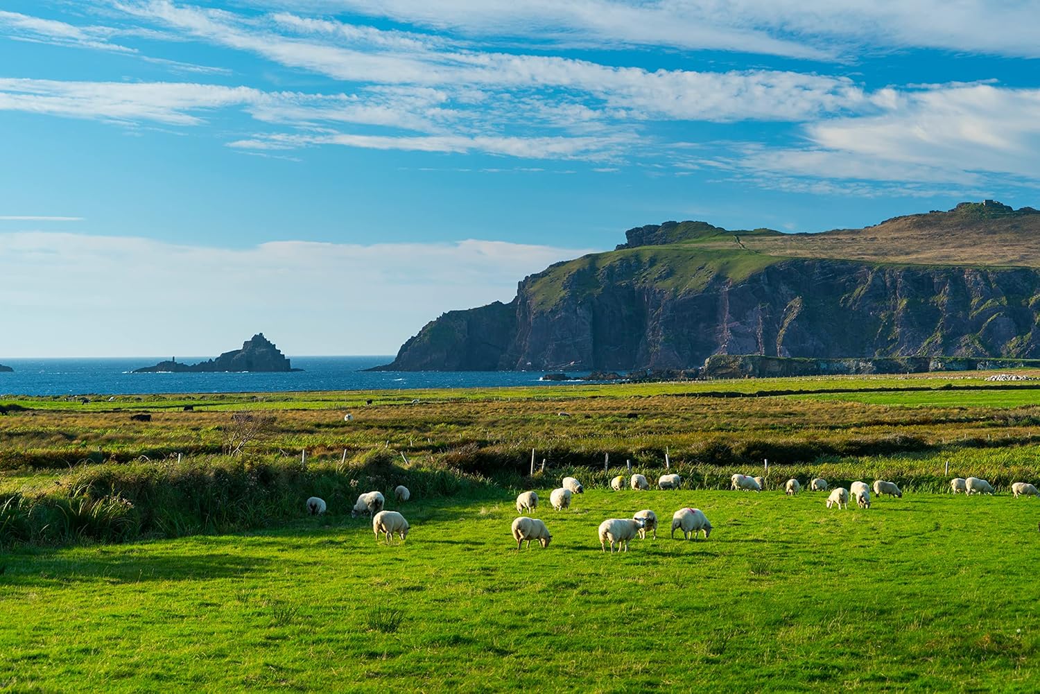 Kerry