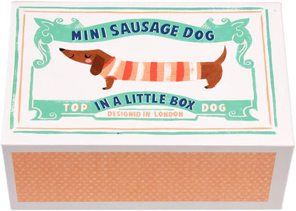 Rex London - Mini-Wursthund in kleiner Box 'Pear'