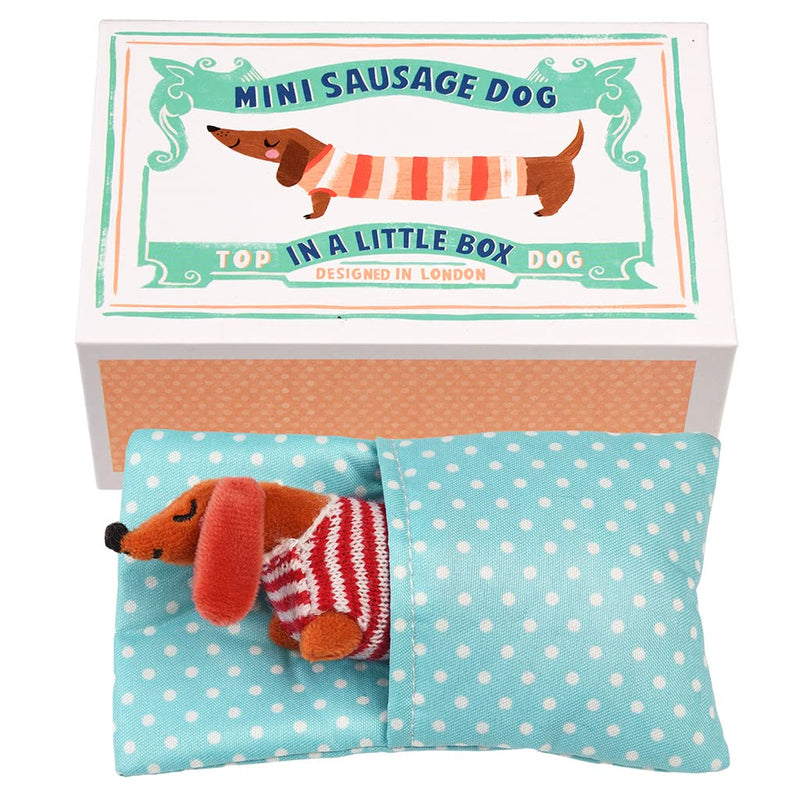 Rex London - Mini-Wursthund in kleiner Box 'Pear'