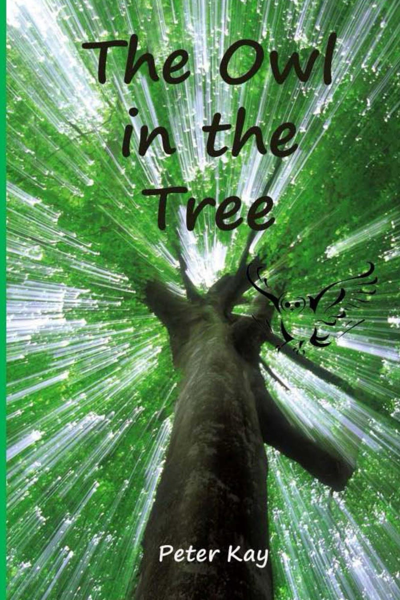 The Owl in the Tree