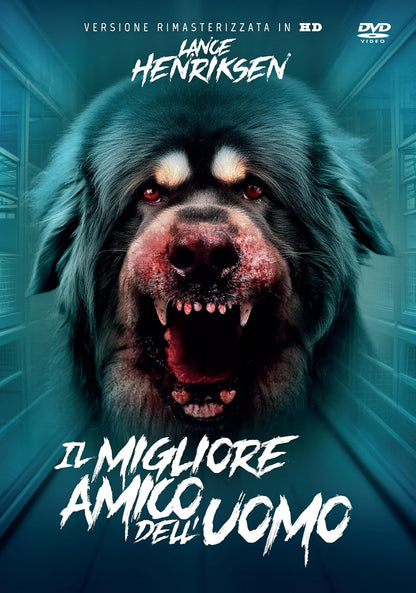 Il miglior amico dell'uomo
