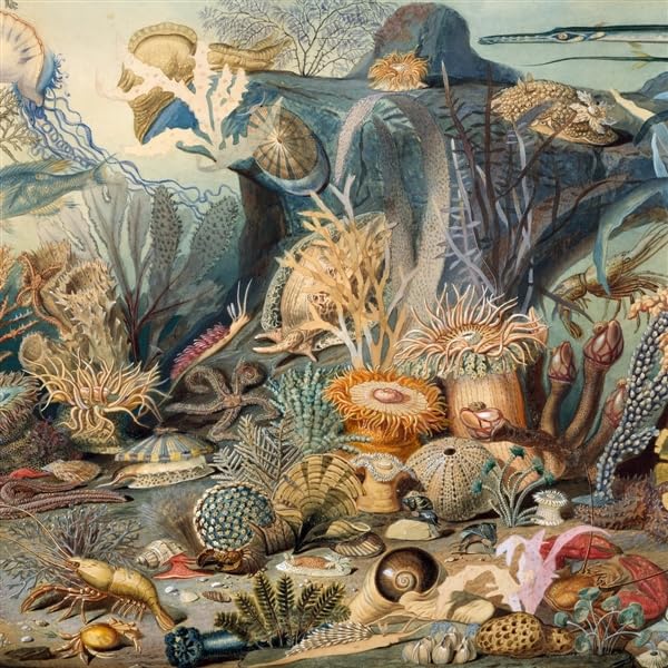 Episodes In Oceanography, Vol. 2