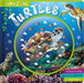 Amazing Turtles