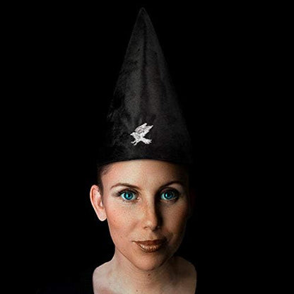 Harry Potter -  Ravenclaw Student Hat
