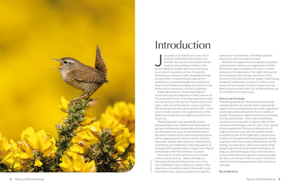 Lonely Planet The Joy of Birdwatching